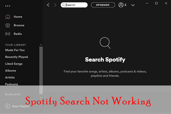 Why is My Spotify Search Not Working